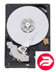 HDD 1000 Gb WD10EARS Caviar Green, SATA II <IntelliPower, 64Mb>