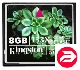 Kingston 8Gb Compact Flash